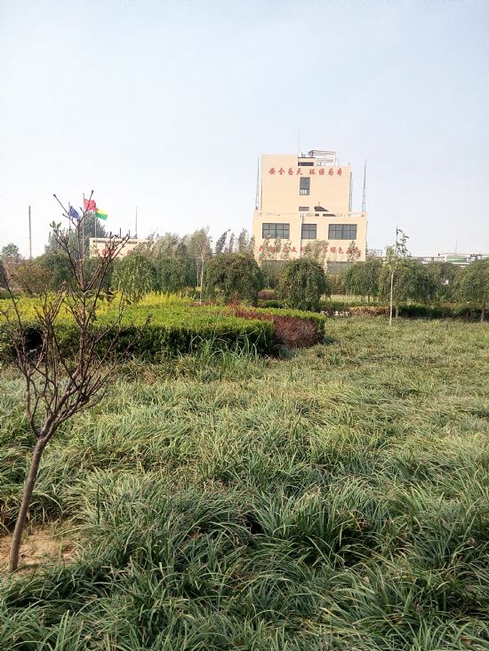 公司实景17